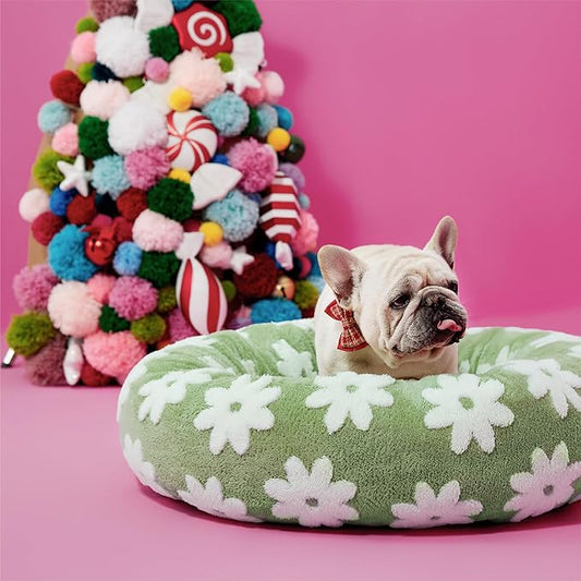 LE SURE Donut Medium Dog Bed - Round Cat Beds for Indoor Cats Calming Pet Beds, Cute Modern Beds with Jacquard Shaggy Plush & Anti Slip Bottom, 30 Inch, Green