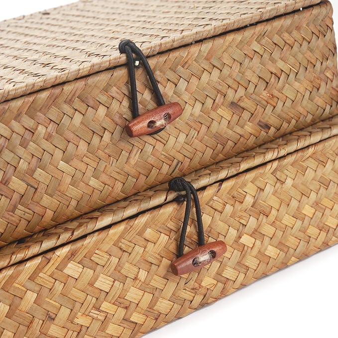 DOKOT Flat Seagrass Storage Bins with Lid, Wicker Basket for Shelf Organize, Set of 2 (Small+Large)