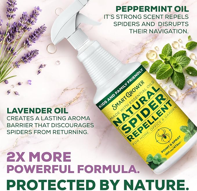 Natural Spider Repellent Spray – Indoor Spider Spray with Peppermint & Lavender, Family & Pet Friendly – Fresh Scent Spider Remover for Bedrooms, Bathrooms, Closets & Corners 16oz Ready to Use