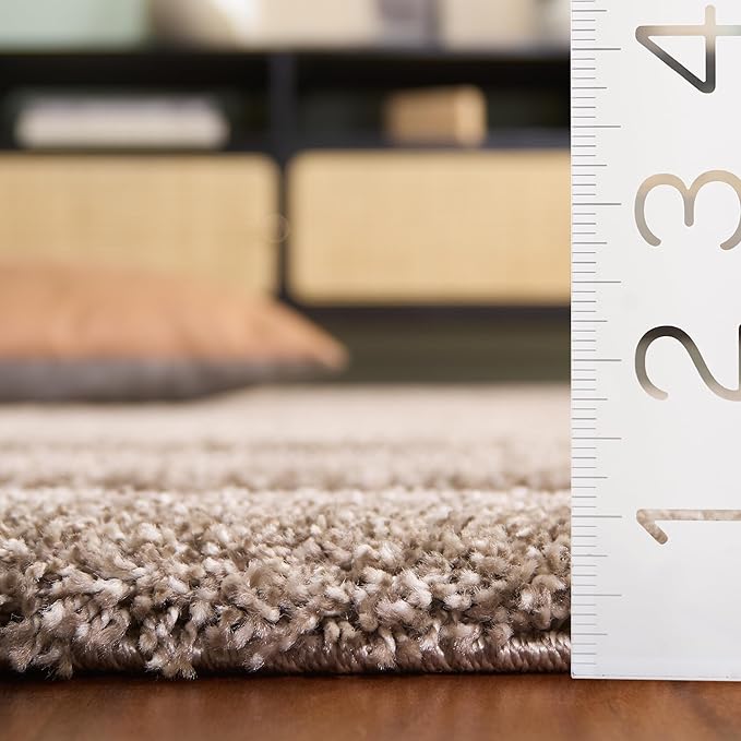 SAFAVIEH Florida Shag Collection Area Rug - 6' x 9', Beige & Beige, Border Design, Non-Shedding & Easy Care, 1.2-inch Thick Ideal for High Traffic Areas in Living Room, Bedroom (SG454-1313)