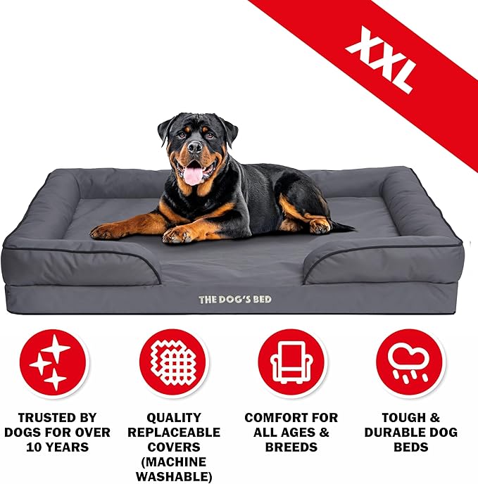The Dog’s Bed, Orthopedic Standard Foam Waterproof Dog Bed with Standard Support, XXL Grey with Black Trim, Waterproof, Supportive Dog Bed with Replaceable Covers