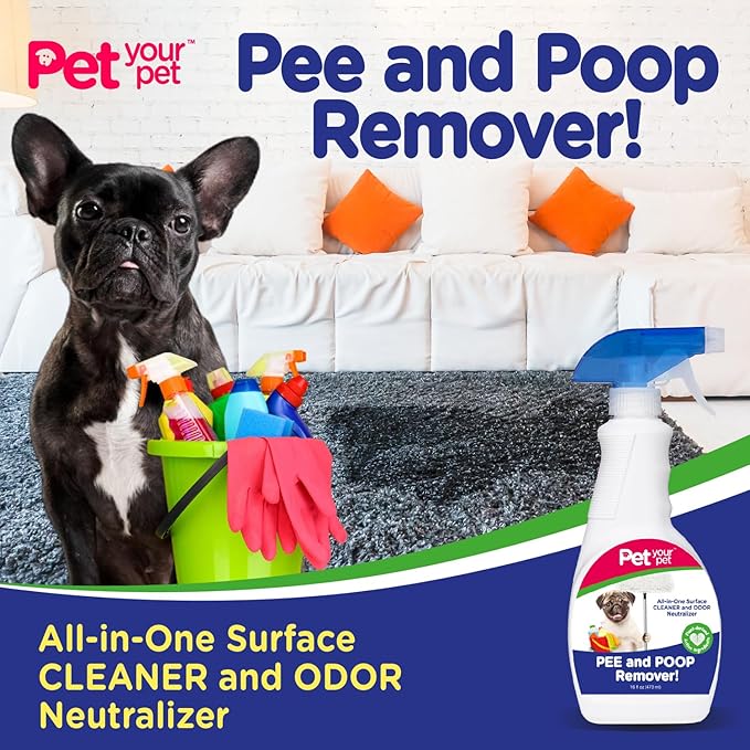 Dog Pee and Poop Remover 32 fl Oz. – All-in-One Pet Stain and Odor Remover with Plant-Derived Ingredients – Stain and Odor Removers for Upholstery, Carpets, Leather & Hard Floors