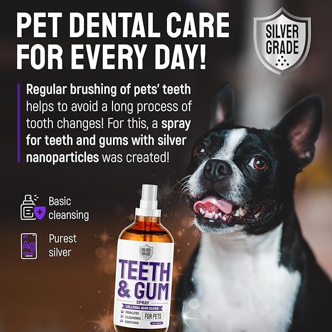 Dog Breath Freshener Teeth & Gum Spray for Pets – Cat Teeth Cleaning Spray Helps with Plaque, Tartar, and Caries – Colloidal (Nano) Silver + Deionized Water – 4 Oz Bottle