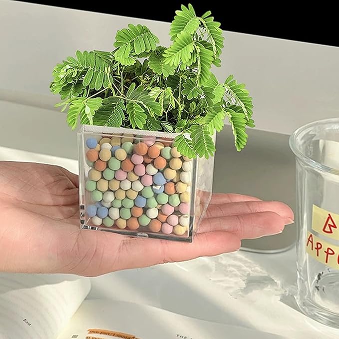 Small Acrylic Box with Lid 12 Pack Clear Acrylic Square Cube Containers Plastic Storage Box for Birthday Valentine's Day Party Favor Candy Pill and Tiny Jewelry Boxes