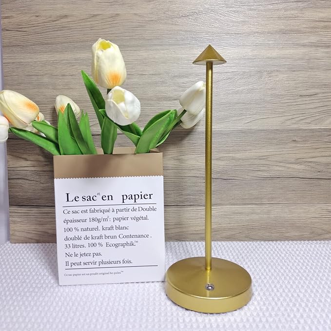 2 PACK Cordless Lamps,Battery Rechargeable Table Lamp,Portable Lamps,2 Level Brightness Dimmable Night Light,Minimalist Design,Cordless Table Lamps for Living Room/Restaurant/Couple Dinner(Gold)
