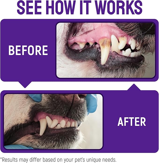 Dog Breath Freshener Teeth & Gum Spray for Pets – Cat Teeth Cleaning Spray Helps with Plaque, Tartar, and Caries – Colloidal (Nano) Silver + Deionized Water – 4 Oz Bottle