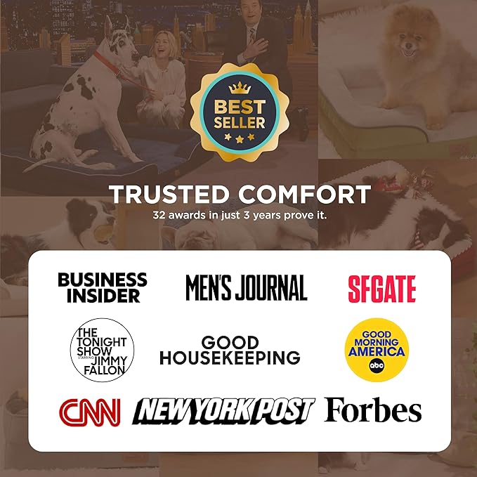 Bedsure XL Self Warming Orthopedic Dog Bed for Extra Large Dogs - Washable XLarge Dog Bed Waterproof, Comfort Pet Couch with Removable Cover, Pets Sofa with Nonskid Bottom, Brown, Non-Electric