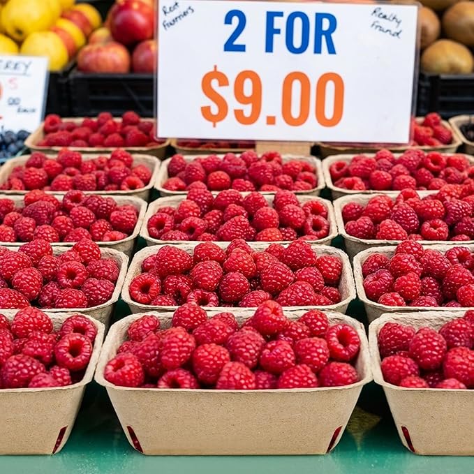 100 Pack Natural Pulp Fiber Berry Baskets, Rectangle Strawberry Produce Vented Container, Bulk Molded Fruit Boxes, Vegetable Picking Holder for Farmers Market, Grocery Store, Backyard Party