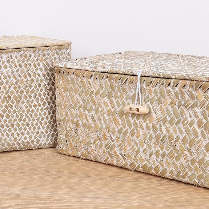 FEIALNDUO Wicker Shelf Baskets with Lid,Seagrass Storage Basket Bins Rectangular Handwoven Basket Boxes for Shelves Desktop Home Organizer (Whitewash, Medium)