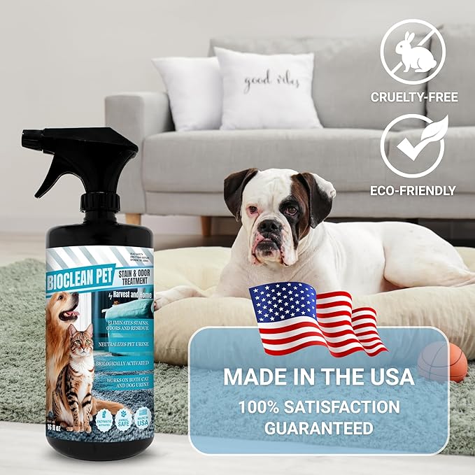 Bioclean Pet Carpet Cleaner & Deodorizer – Eliminates Pet Urine Smell, Stain & Odor Remover, No Residue, Made in USA – 16oz