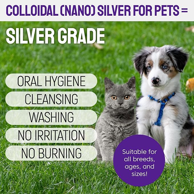 Dog Breath Freshener Teeth & Gum Spray for Pets – Cat Teeth Cleaning Spray Helps with Plaque, Tartar, and Caries – Colloidal (Nano) Silver + Deionized Water – 4 Oz Bottle