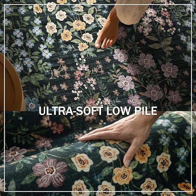 Machine Washable Throw Rugs for Entryway: Door Mat Indoor Entrance 2x3 Rug Small Area Rug Non-Slip Low Pile Kitchen Rug for Front Door Indoor Entrance Kitchen Bedroom Kids Room