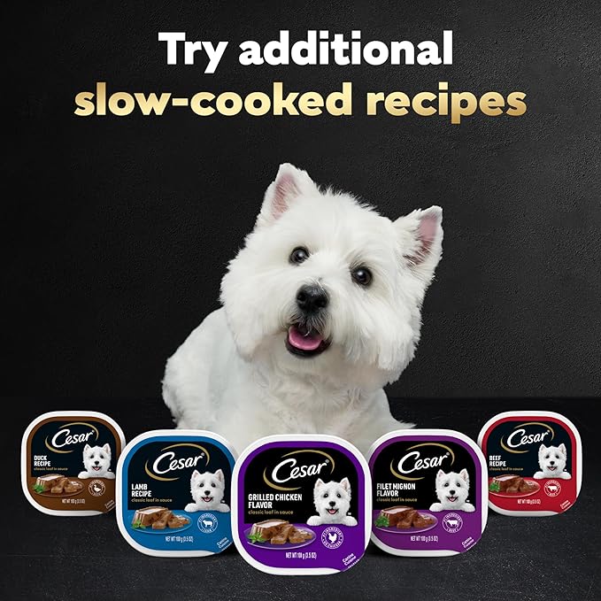 Cesar Wet Dog Food Classic Loaf in Sauce, Duck Recipe, Oven Roasted Chicken Flavor, Grilled Chicken Flavor, and Turkey Flavor, 3.5 oz. Easy Peel Trays, Variety Pack 24 Count (Pack of 1)