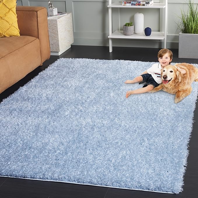 SAFAVIEH Lindsay Shag Collection Area Rug - 4' x 6', Aqua, Contemporary Design, Ideal for High Traffic Areas in Living Room, Bedroom & Dining Room (LNS560J-4)