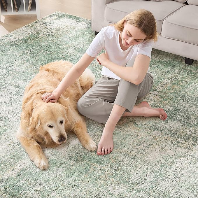 Area Rug Living Room Rugs - 5x7 Large Soft Indoor Neutral Modern Abstract Low Pile Washable Rug Carpet for Bedroom Dining Room Farmhouse Home Office - Green Grey