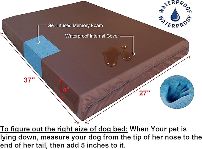 Dogbed4less Medium Large Orthopedic Dog Bed with Memory Foam for Pet, Waterproof Liner, Washable Microsuede Espresso Cover, 37X27X4 Inch