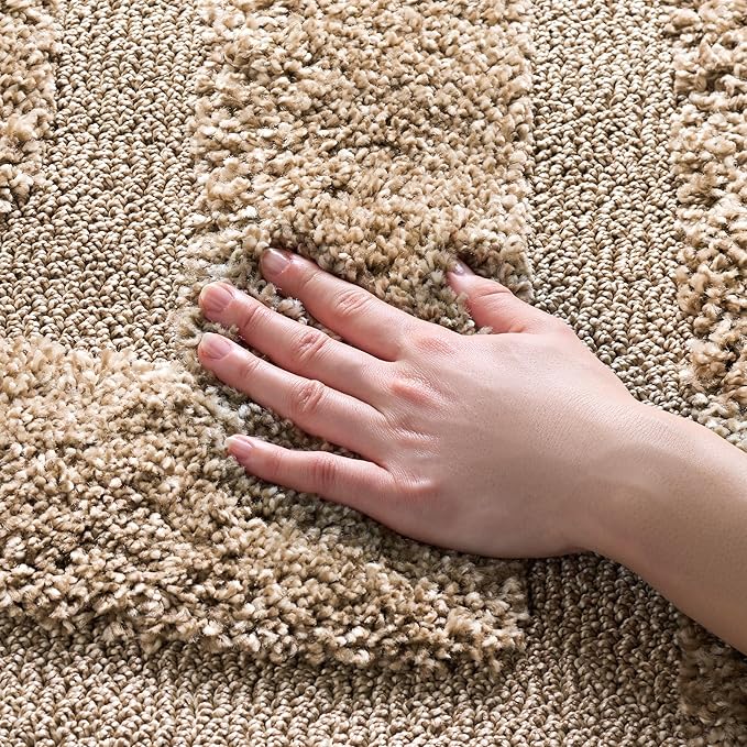 SAFAVIEH Florida Shag Collection Accent Rug - 4' x 6', Beige & Beige, Border Design, Non-Shedding & Easy Care, 1.2-inch Thick Ideal for High Traffic Areas in Foyer, Living Room, Bedroom (SG454-1313)