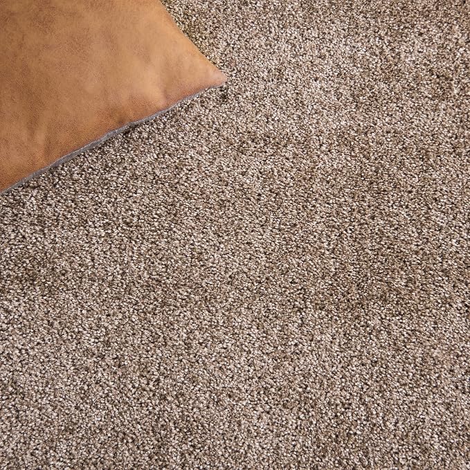 SAFAVIEH Florida Shag Collection Accent Rug - 4' x 6', Beige & Beige, Border Design, Non-Shedding & Easy Care, 1.2-inch Thick Ideal for High Traffic Areas in Foyer, Living Room, Bedroom (SG454-1313)