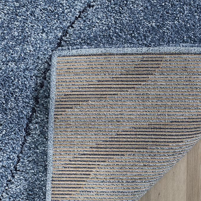 SAFAVIEH Area Rug 8x10 - Florida Shag Collection - Large - Light Blue & Blue, Non-Shedding & Easy Cleaning, Plush Thick Pile, Ideal for Living Room, Bedroom, Dining Space (SG472-6065)